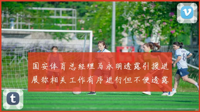 国安体育总经理马永明透露引援进展称相关工作有序进行但不便透露名字
