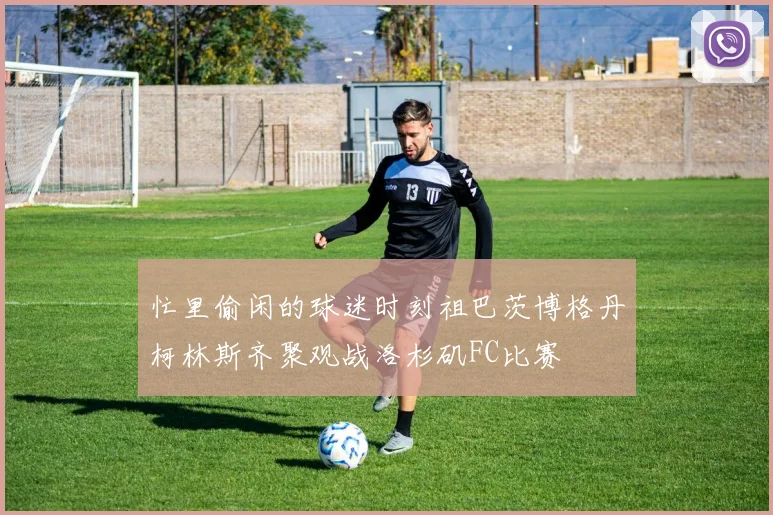 忙里偷闲的球迷时刻祖巴茨博格丹柯林斯齐聚观战洛杉矶FC比赛