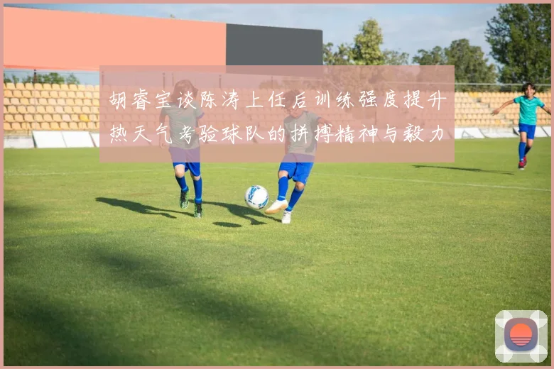 胡睿宝谈陈涛上任后训练强度提升热天气考验球队的拼搏精神与毅力