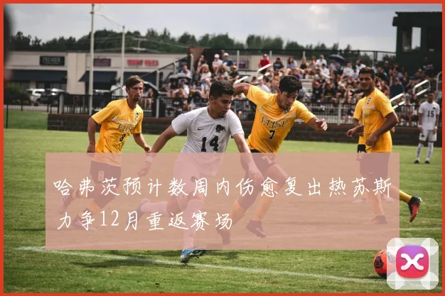 哈弗茨预计数周内伤愈复出热苏斯力争12月重返赛场